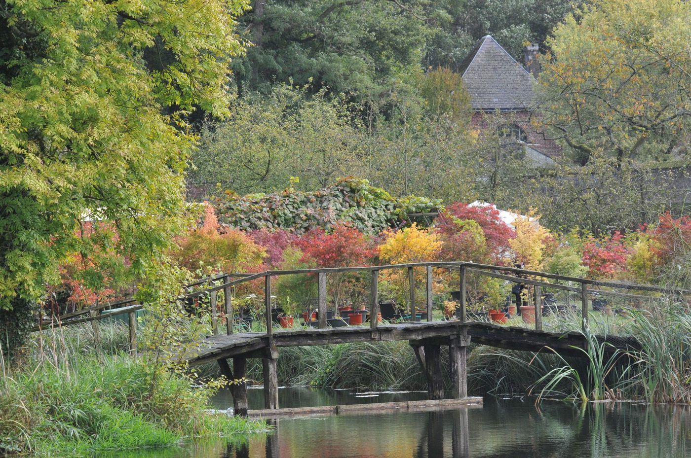 Fête des Plantes et du Jardin d'Aywiers (automne)