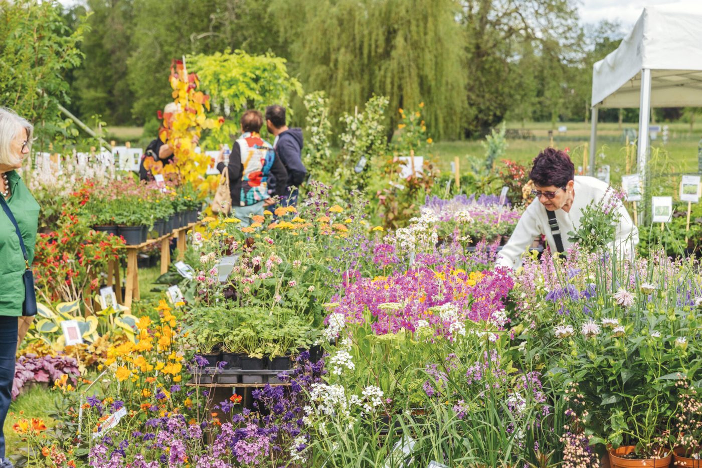 Journées des Plantes de Chantilly (automne)