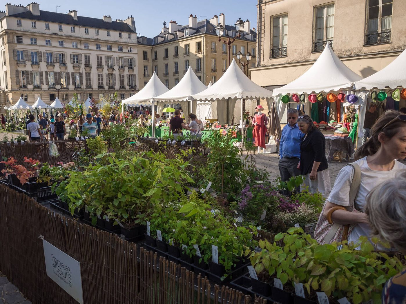 Esprit Jardin