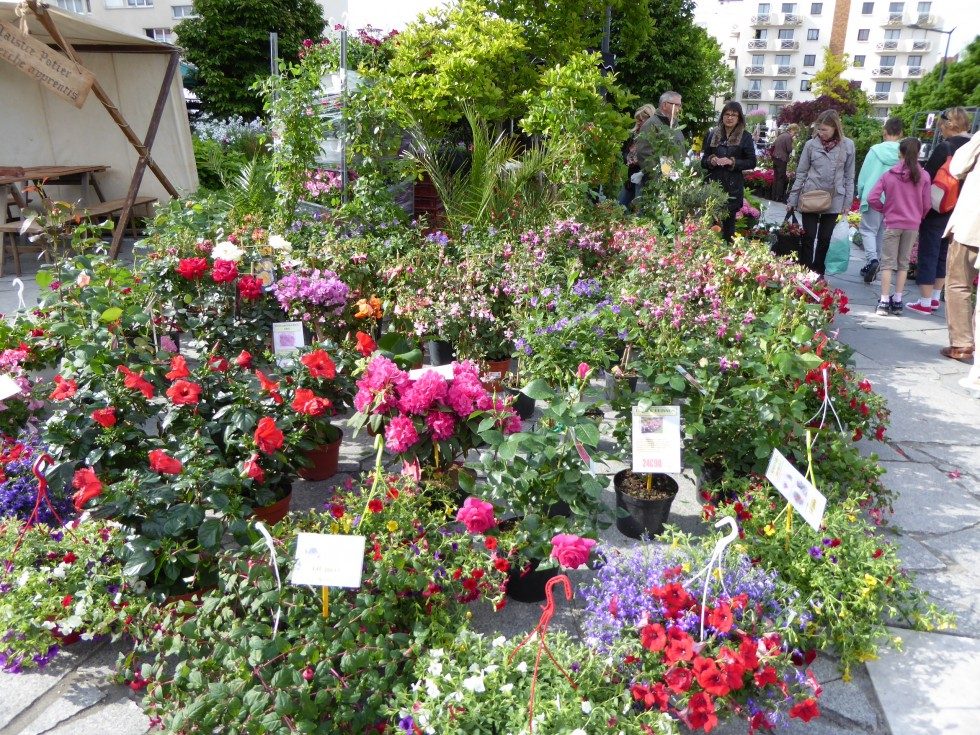 Foire aux Plantes de Viroflay (printemps)