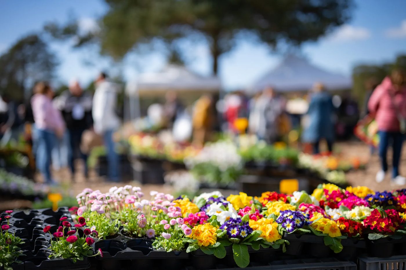 Journées des Plantes et Art du Jardin (printemps)