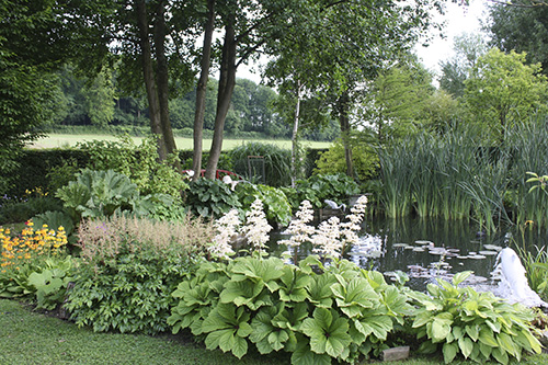 Fête des Plantes et du Jardin - Ô Jardin Paisible