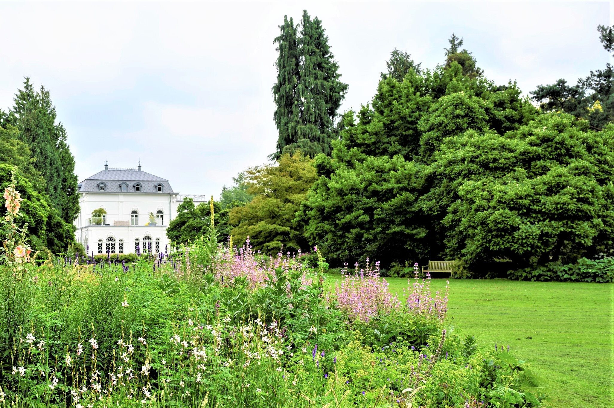 Plantendag - Arboretum Kalmthout