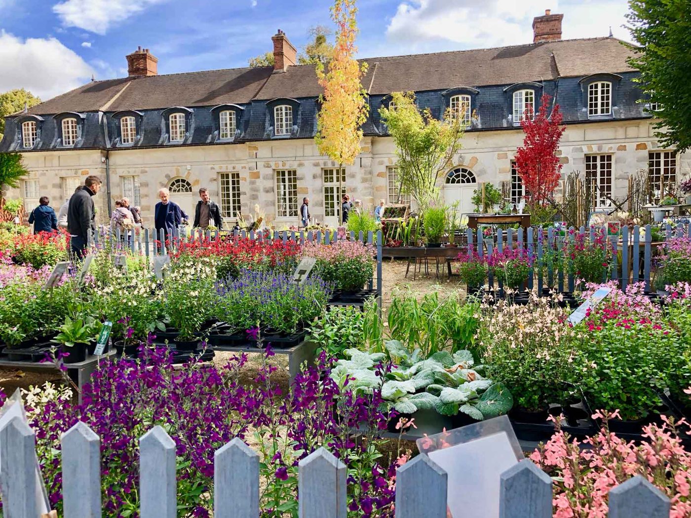 Fête des Plantes d'Automne de Saint-Jean de Beauregard
