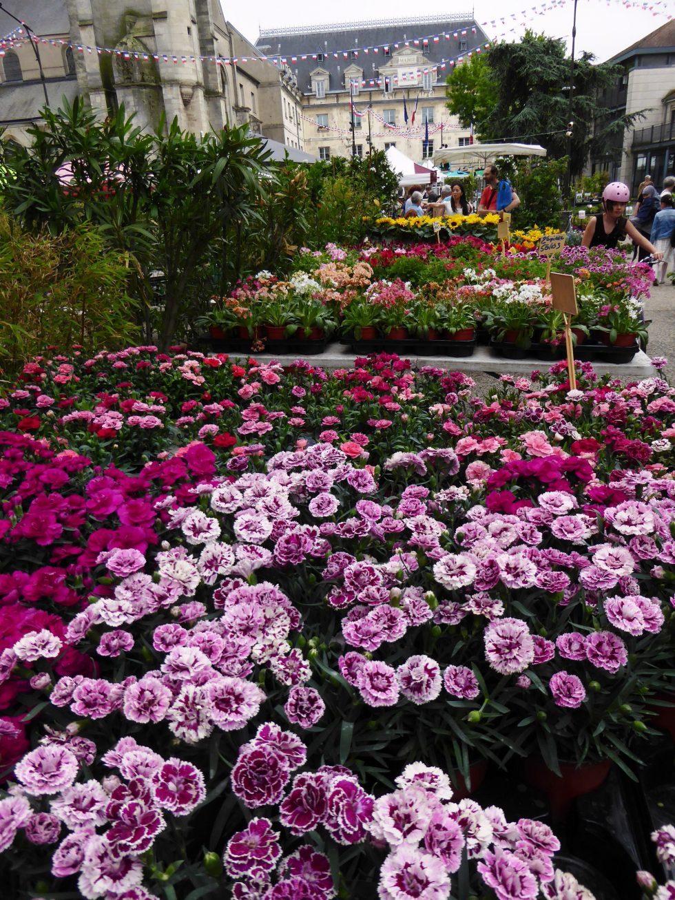 Salon du Jardin de Senlis